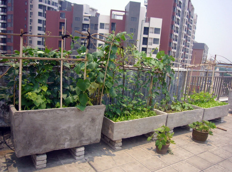 中式风格大户型阳台菜园装修设计图