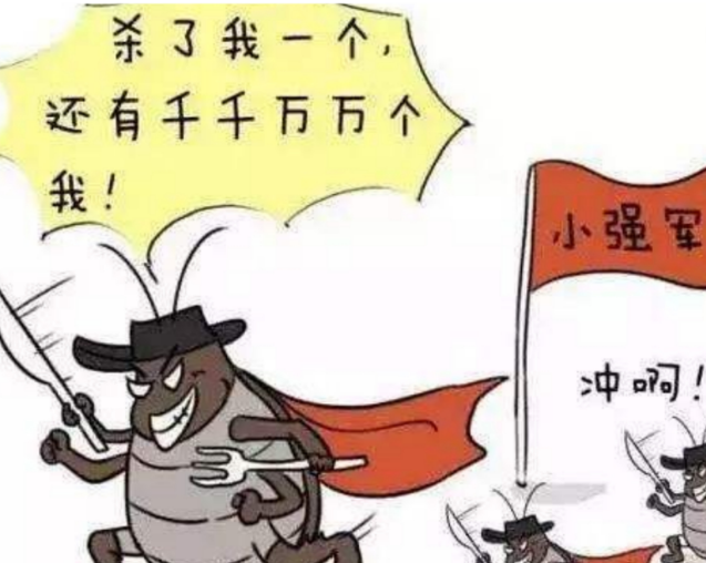 蟑螂药哪种最好用？速看,让小强无处遁形！